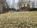 Działka budowlana 3952 m², Rusiec - zdjęcie 3
