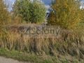 Działka budowlana 635 m², Chrzanów Mały - zdjęcie 1