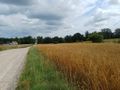 Działka budowlana 1004 m², Żukowo - zdjęcie 5