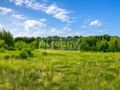 Działka budowlana 3,73&nbsp;ha, Runów - zdjęcie 1