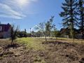 Działka inwestycyjna 1392 m², Tanowo - zdjęcie 2
