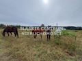 Działka budowlana 1282 m², Rokitno Szlacheckie, Rokicka - zdjęcie 4