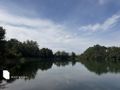 Działka budowlana 6063 m², Chrzypsko Wielkie - zdjęcie 6