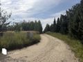 Działka budowlana 6063 m², Chrzypsko Wielkie - zdjęcie 4