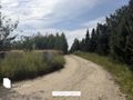 Działka budowlana 9232&nbsp;m², Chrzypsko Wielkie - zdjęcie 5