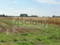 Działka budowlana 1000 m², Nowe Faszczyce - zdjęcie 1