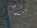 Działka rolna 1,00&nbsp;ha, Koźliki - zdjęcie 1