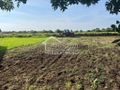 Działka budowlana 1454 m², Rurzyca - zdjęcie 4