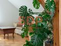 Mieszkanie 140&nbsp;m², Wrocław, Krzyki, Krzycka - zdjęcie 5