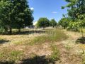 Działka budowlana 2000&nbsp;m², Rusiec - zdjęcie 1
