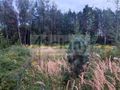 Działka budowlana 2327 m², Osowiec - zdjęcie 2