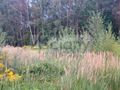 Działka budowlana 2327 m², Osowiec - zdjęcie 3