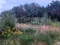 Działka budowlana 2327 m², Osowiec - zdjęcie 4