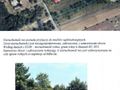 Działka rolna 4915&nbsp;m², Góry Małe - zdjęcie 1