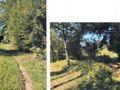 Działka budowlana 1000&nbsp;m², Budy-Grzybek - zdjęcie 2