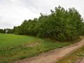 Działka rolna 1865 m², Syców - zdjęcie 2