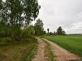 Działka rolna 1865 m², Syców - zdjęcie 3