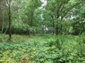 Działka budowlana 937 m², Komorów - zdjęcie 1