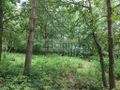 Działka budowlana 937 m², Komorów - zdjęcie 2