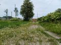 Działka inwestycyjna 3000&nbsp;m², Malbork, Toruńska - zdjęcie 5