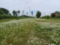 Działka inwestycyjna 3000&nbsp;m², Malbork, Toruńska - zdjęcie 2