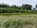 Działka inwestycyjna 3000&nbsp;m², Malbork, Toruńska - zdjęcie 3