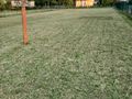 Działka budowlana 1670 m², Gorzów Wielkopolski, Wiśniowa - zdjęcie 1