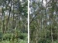 Działka rolna 1,28&nbsp;ha, Glinik - zdjęcie 3