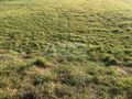Działka budowlana 1604&nbsp;m², Duchnów - zdjęcie 2