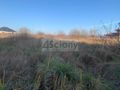 Działka budowlana 5183 m², Duchnów - zdjęcie 5
