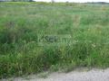 Działka budowlana 5183 m², Duchnów - zdjęcie 1