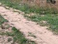 Działka budowlana 1000 m², Stare Wrońska - zdjęcie 2