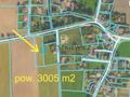 Działka siedliskowa 3001m2 Ełganowo przy asfalcie - zdjęcie 3