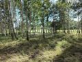 Działka budowlana 1005 m², Gawartowa Wola - zdjęcie 1