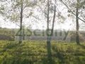 Działka budowlana 1005 m², Gawartowa Wola - zdjęcie 2