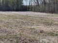 Działka z wydanymi warunkami zabudowy w Czarnocin - zdjęcie 2
