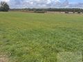 Duża działka 5000 m² w Budach Ciepielińskich - zdjęcie 2