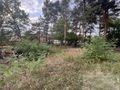 Na sprzedaż działka budowlana Stara Miłosna - zdjęcie 2