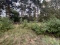 Na sprzedaż działka budowlana Stara Miłosna - zdjęcie 4