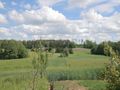 Działka gospodarstwo 4819&nbsp;m², Sadłowina - zdjęcie 2