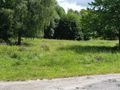 Działka budowlana 5390 m², Chocieszów - zdjęcie 4