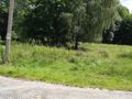 Działka budowlana 6700&nbsp;m², Chocieszów - zdjęcie 4