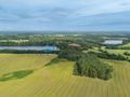 Działka Kaszuby Warunki Zabudowy|Las|Jezioro - zdjęcie 3