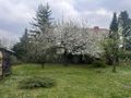 Dom 232&nbsp;m², Brzeg, Lwowska - zdjęcie 3