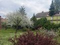 Dom 232&nbsp;m², Brzeg, Lwowska - zdjęcie 5