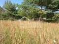 Działka budowlana 1103&nbsp;m², Łęgi - zdjęcie 4