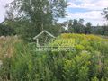 Działka budowlana 1000&nbsp;m², Lipnik - zdjęcie 2