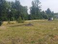 Lokal usługowy na sprzedaż, 40541 m², Zabrze - zdjęcie 5