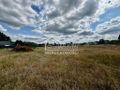 Działka budowlana 1926&nbsp;m², Żółwia Błoć - zdjęcie 5