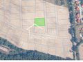 Działka budowlana 1622 m², Buk - zdjęcie 1